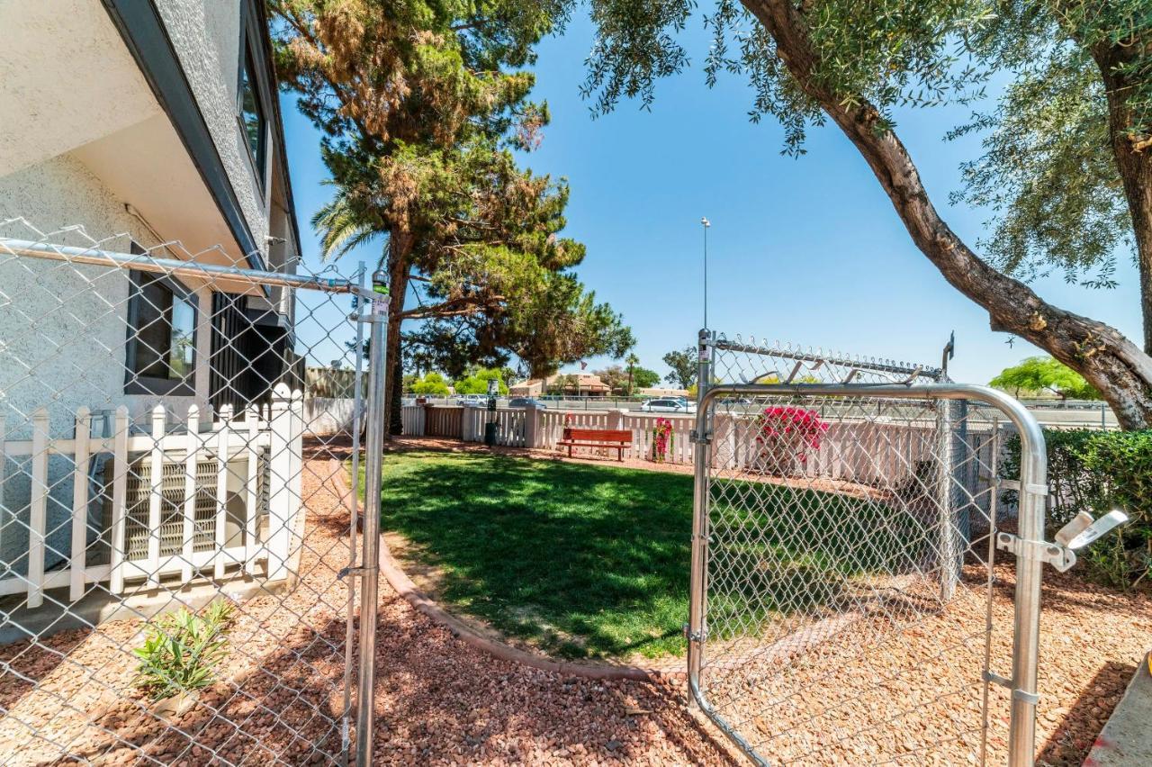 Metro Phx Downstairs Studio Sleeps 4 Ada Accessible Phoenix Bagian luar foto
