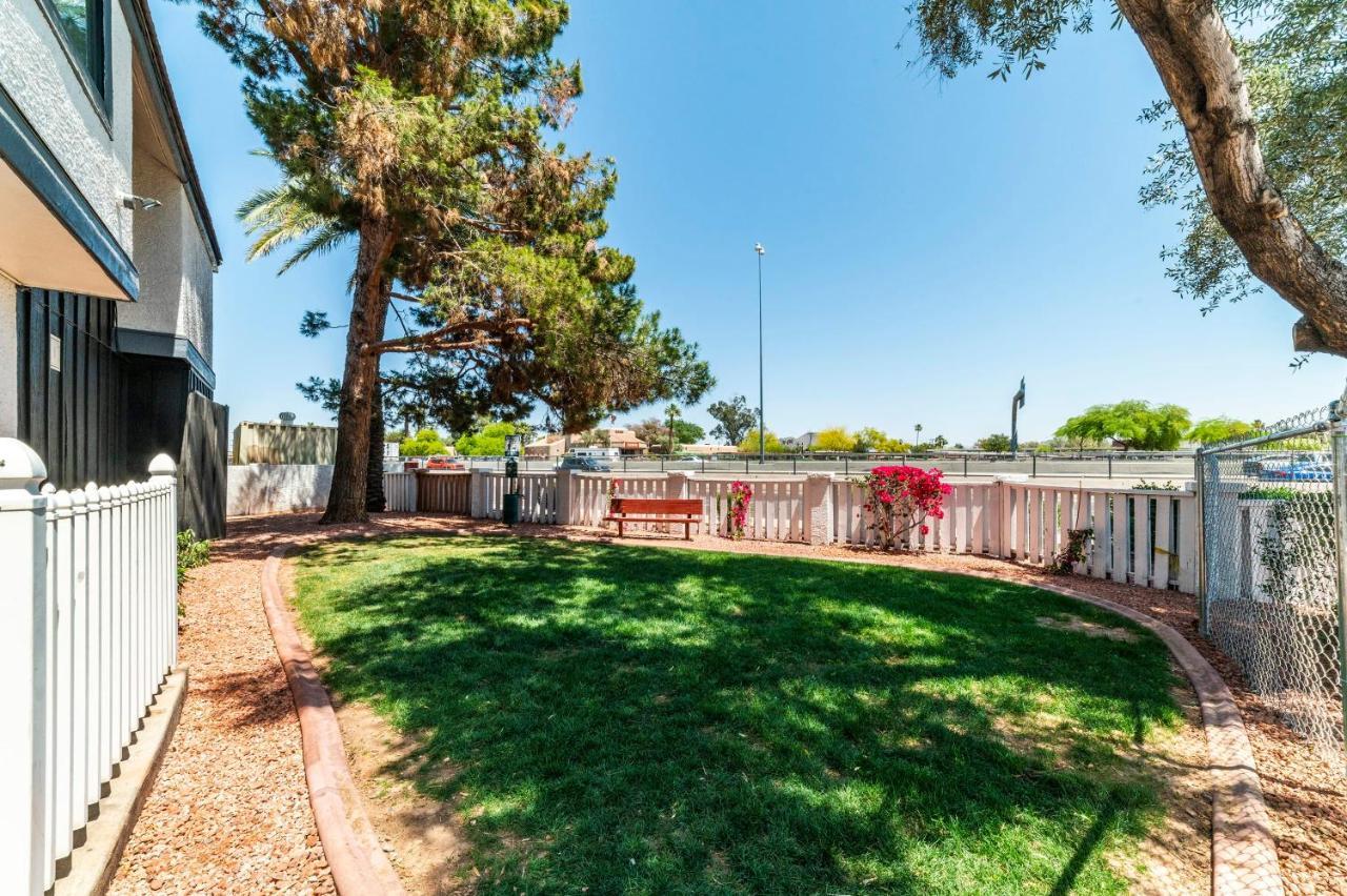 Metro Phx Downstairs Studio Sleeps 4 Ada Accessible Phoenix Bagian luar foto